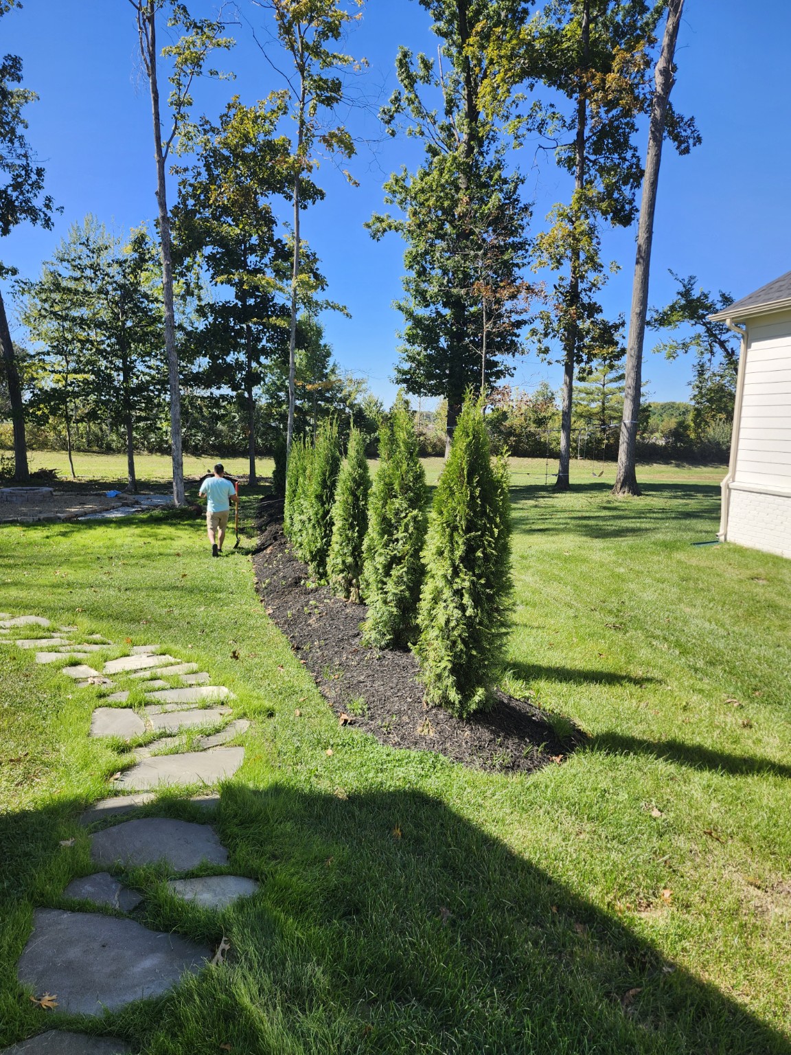 Ramirez Outdoor Solutions landscaping work with newly planted privacy trees