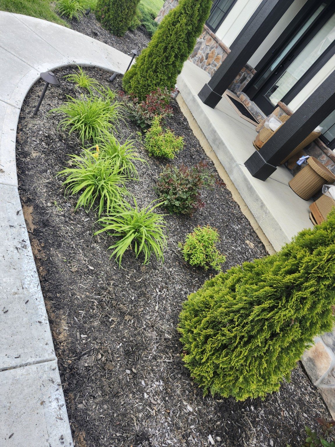 Existing mulch and plants in the porch garden.