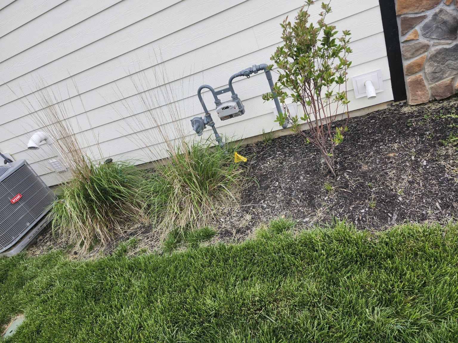 Existing grasses and plantings near utility equipment.