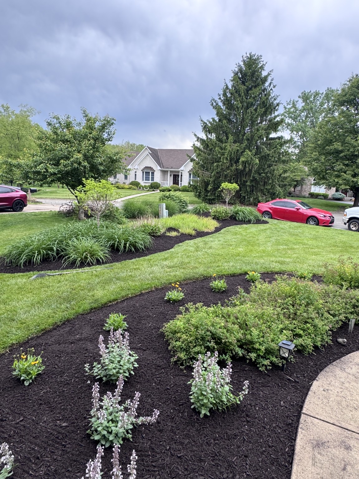 Wide view of fresh mulch and landscaped areas.