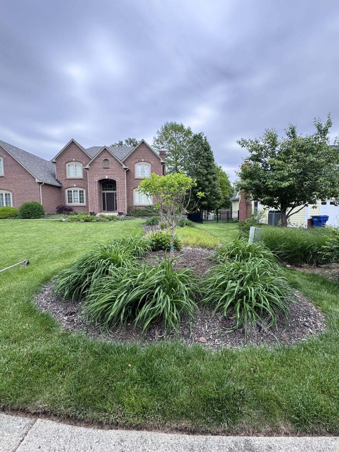 Established ornamental grasses at a brick home.
